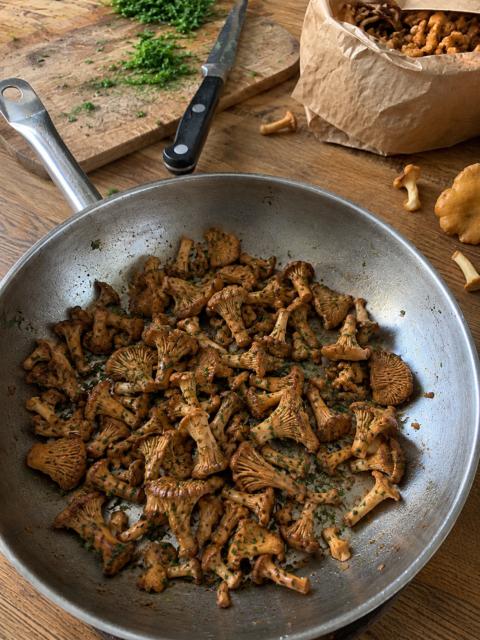 girolles à la provençale